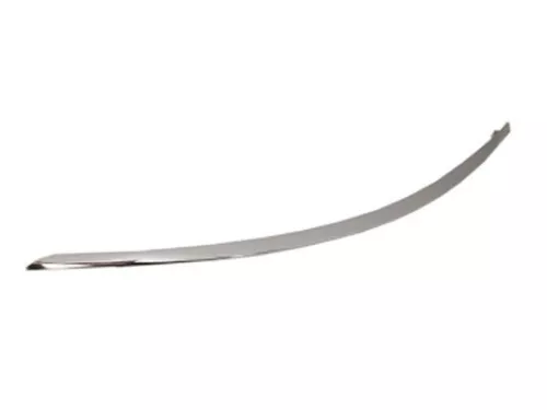 Trim/Protection Strip, bumper