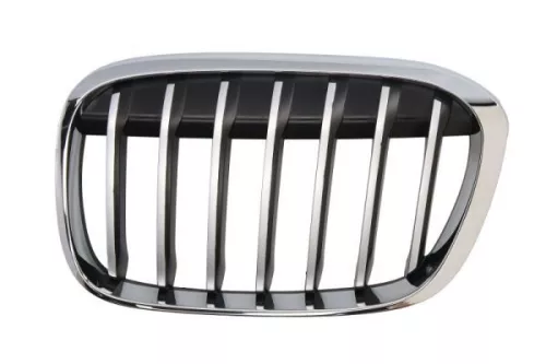 Ventilation Grille, bumper