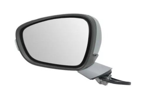 Exterior Mirror