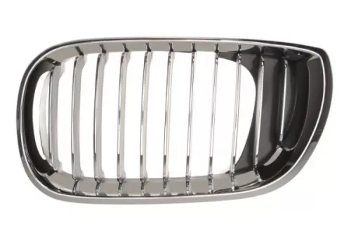 Radiator Grille