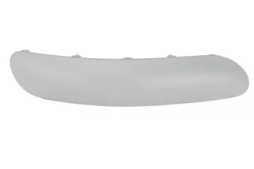 Trim/Protection Strip, bumper