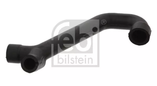 Hose, crankcase ventilation