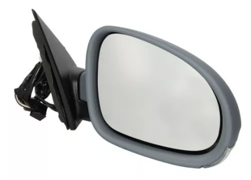 Exterior Mirror