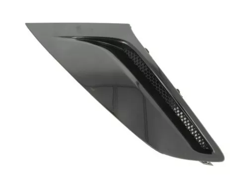 Ventilation Grille, bumper