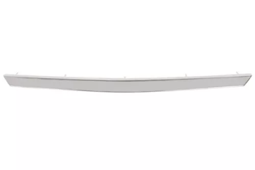 Trim/Protection Strip, radiator grille