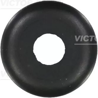 Seal Ring, valve stem