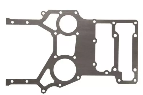 Gasket, timing case cover