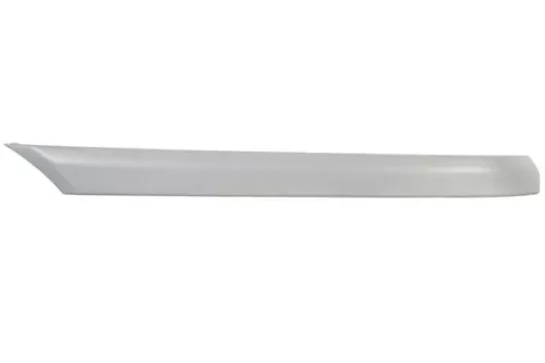 Trim/Protection Strip, bumper
