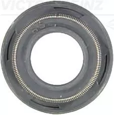 Seal Ring, valve stem