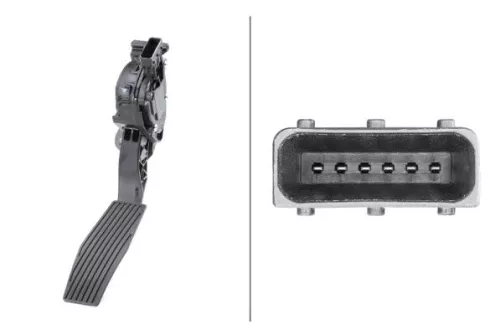 Sensor, accelerator pedal position