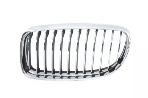 Radiator Grille