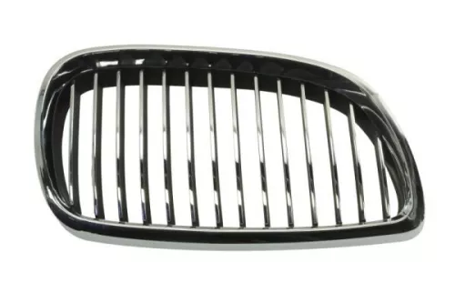 Radiator Grille