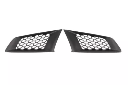 Radiator Grille