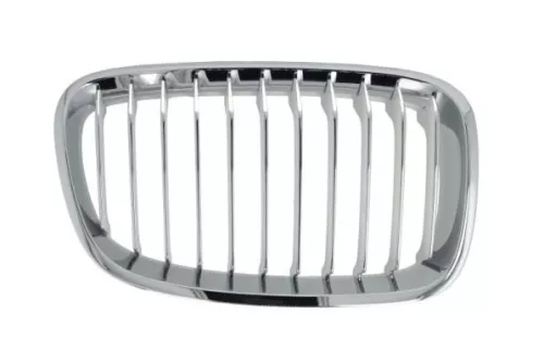 Radiator Grille