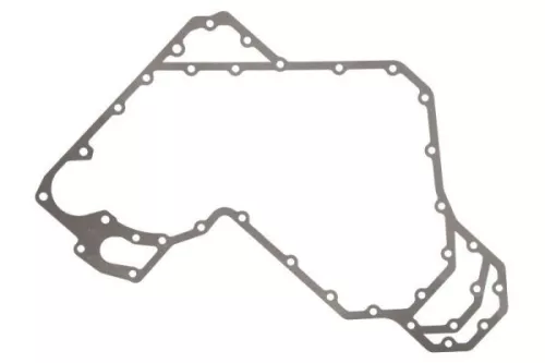 Gasket, timing case cover