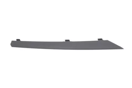 Trim/Protection Strip, bumper