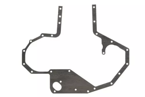 Gasket, timing case cover