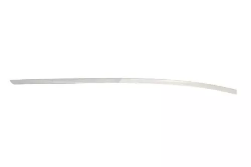 Trim/Protection Strip, bumper