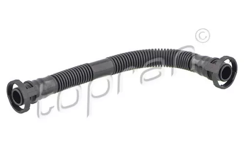 Hose, cylinder head cover ventilation