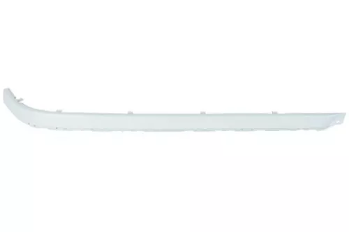Trim/Protection Strip, bumper