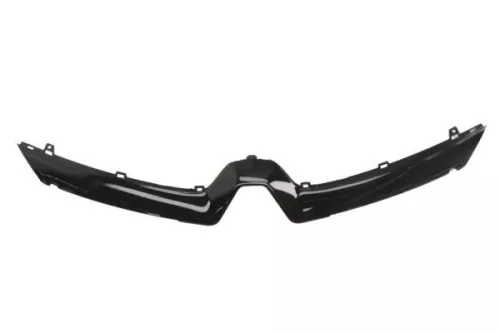 Trim/Protection Strip, radiator grille