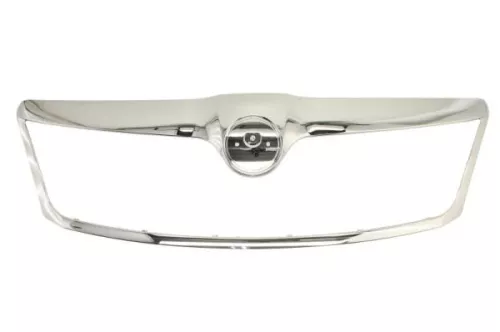 Trim/Protection Strip, radiator grille