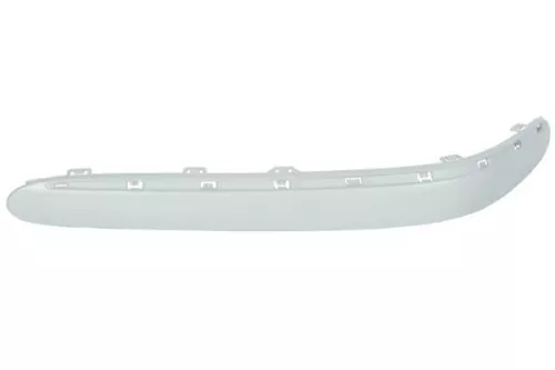 Trim/Protection Strip, bumper