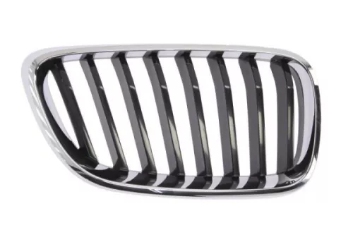 Radiator Grille