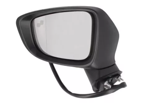Exterior Mirror
