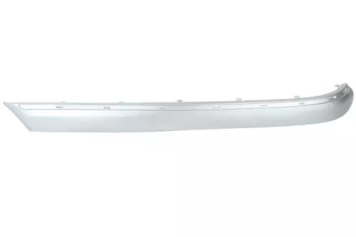 Trim/Protection Strip, bumper