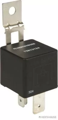 Multifunctional Relay