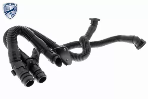 Hose, crankcase ventilation