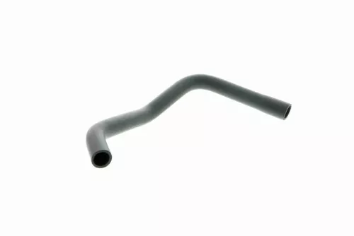 Hose, cylinder head cover ventilation