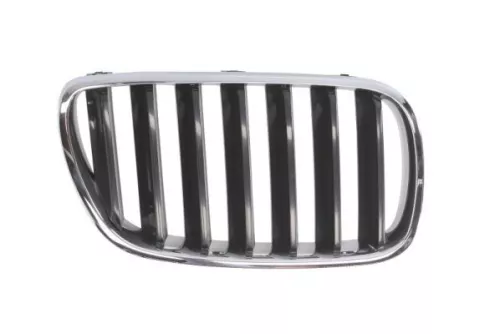 Radiator Grille