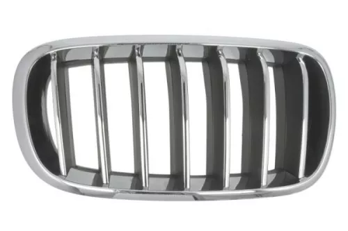 Radiator Grille