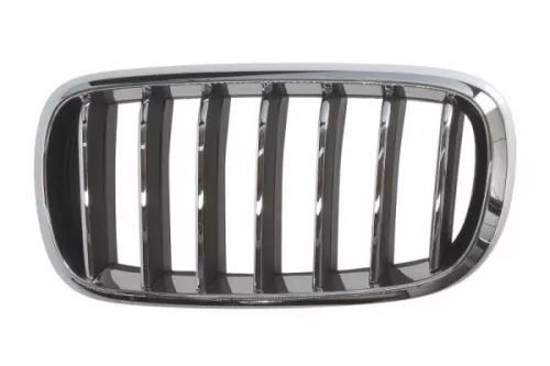 Radiator Grille