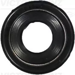 Seal Ring, valve stem
