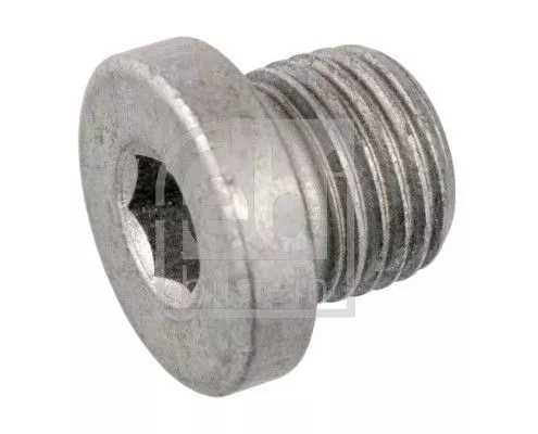 Screw Plug