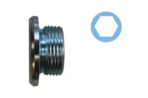 Screw Plug, oil sump