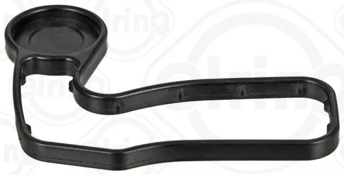 Gasket, timing case cover