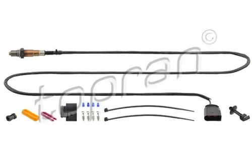 Oxygen Sensor
