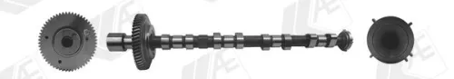 Camshaft