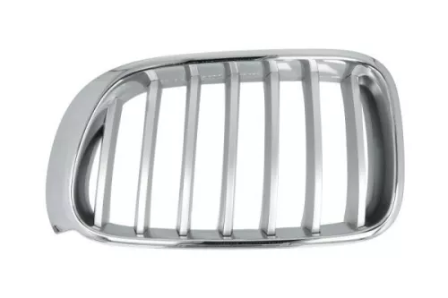 Radiator Grille
