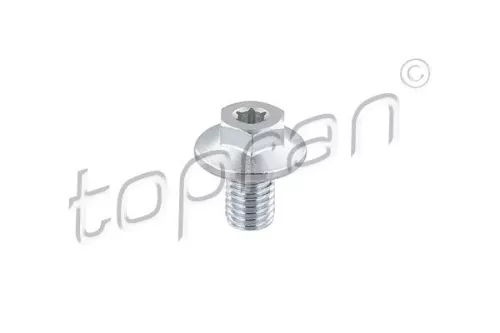 Screw Plug, oil sump