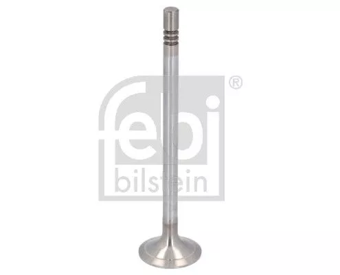 Intake Valve