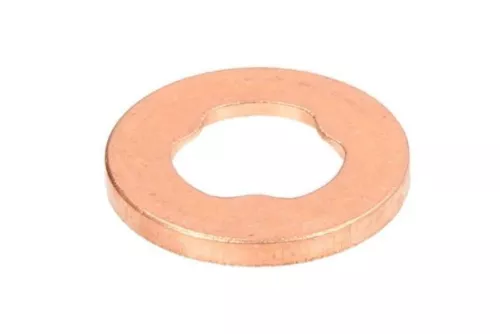 Seal, injector holder