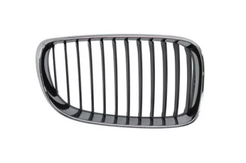 Radiator Grille