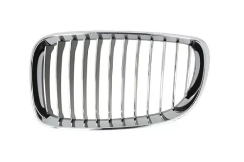 Radiator Grille