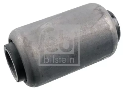 Bushing, leaf spring
