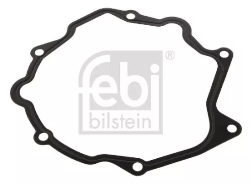 Gasket, vacuum pump